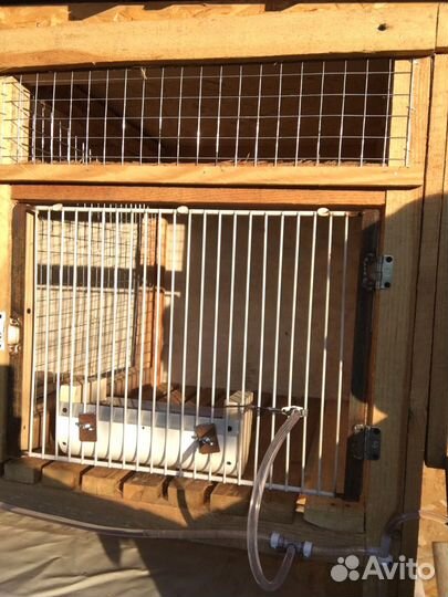 Клетка для домашнего кролика