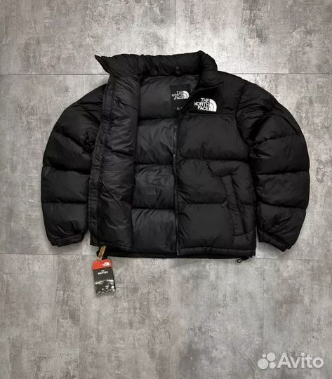 Пуховик зимний TNF 700