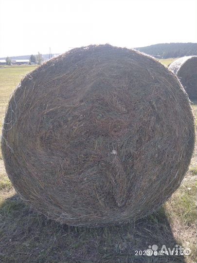 Сено в рулонах и тюках.Солома пшеничная в тюках