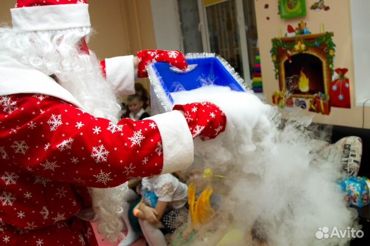 Дед Мороз и Снегурочка 