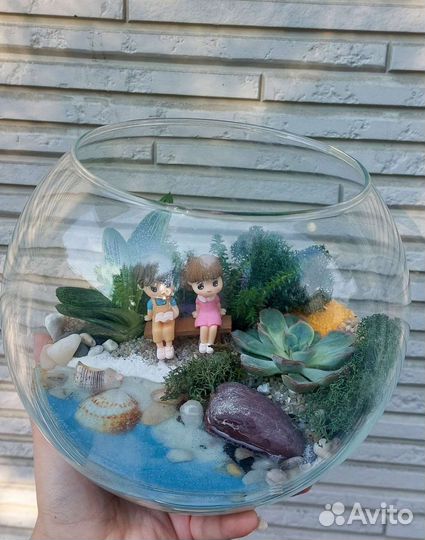 Флорариум с суккулентами