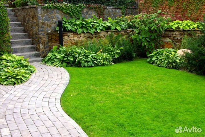 Рулонный газон - газон с укладкой