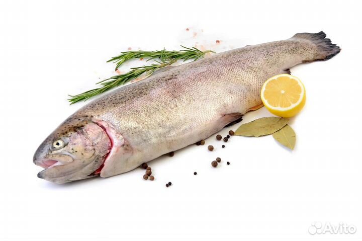 Форель радужная целая с/м 0,8-1,2кг