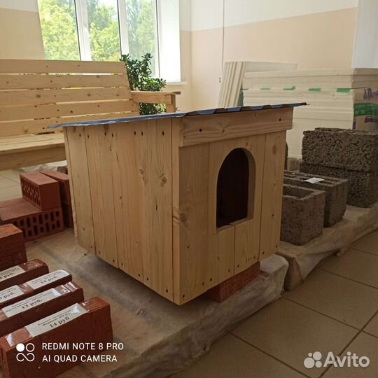 Собачья конура