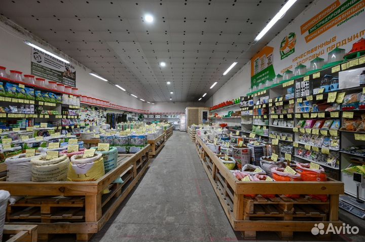 Щелкунчик приманка отравленная для мышей