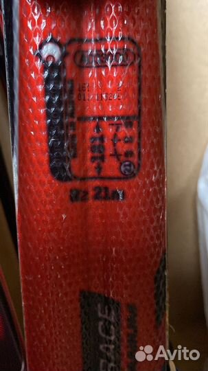 Горные лыжи