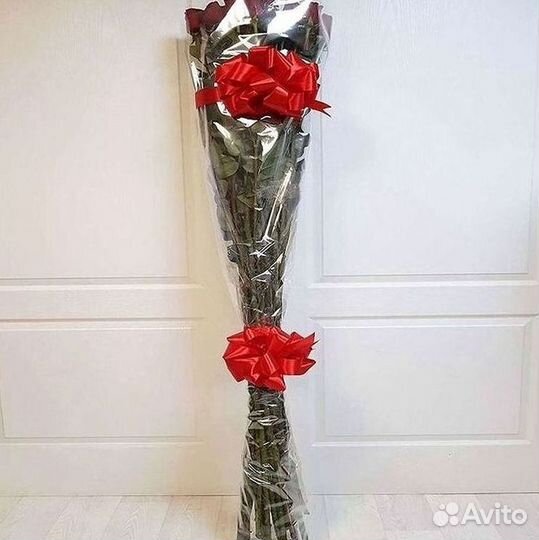 Розы гиганты 140 150 160 170 180 200