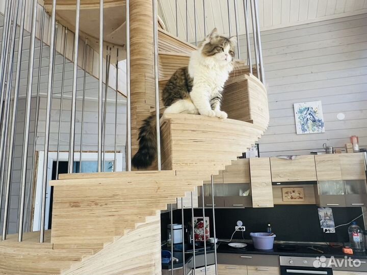 Лестница сборная винтовая