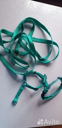 Продам шлейку и поводок