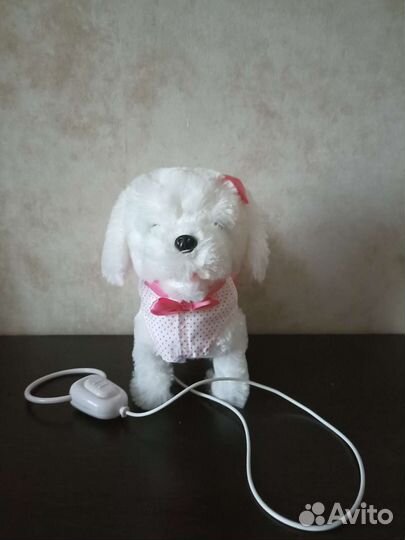 Интерактивная собака