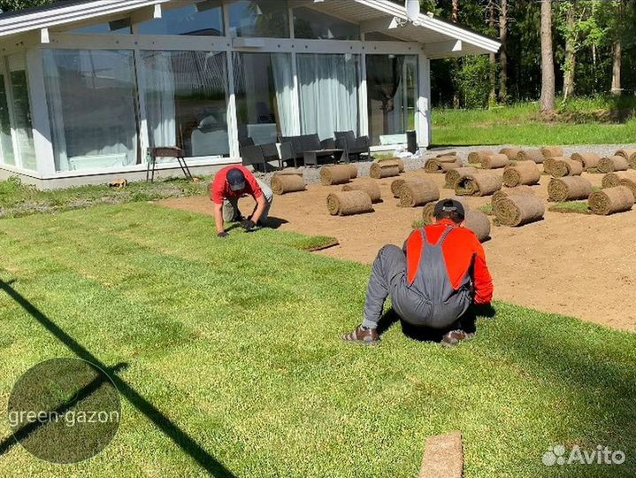 Газон