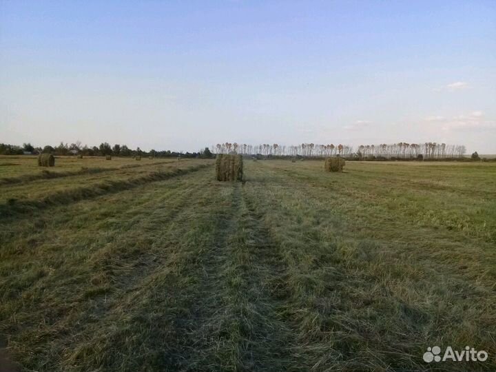 Сено луговое в рулонах 600 кг