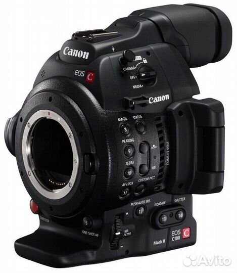 Canon C100 mark ii