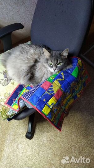 Коврик для кошки