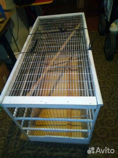 Большая клетка