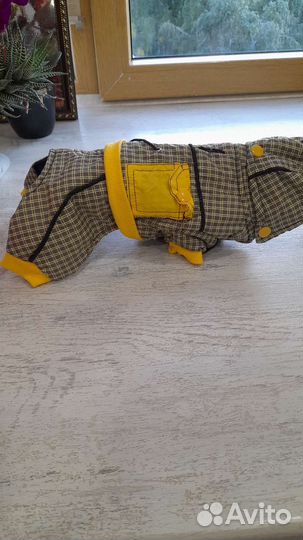 Платье для маленькой собачки