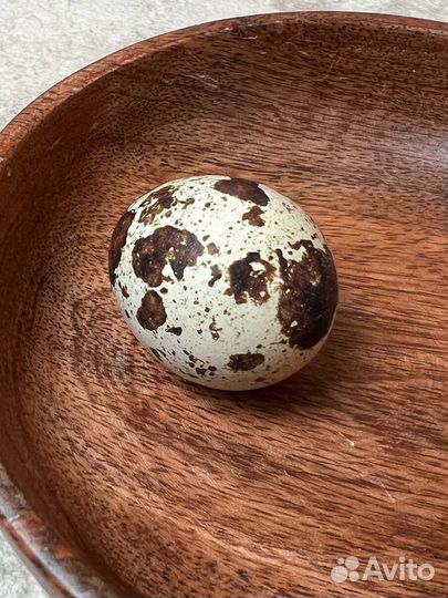 Яйца перепелиные