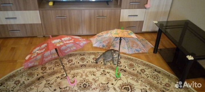 Зонтик детский