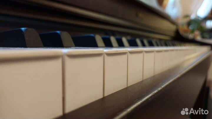 Электронное пианино Roland HPi-7s