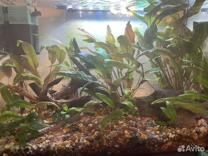 Украшение для аквариума