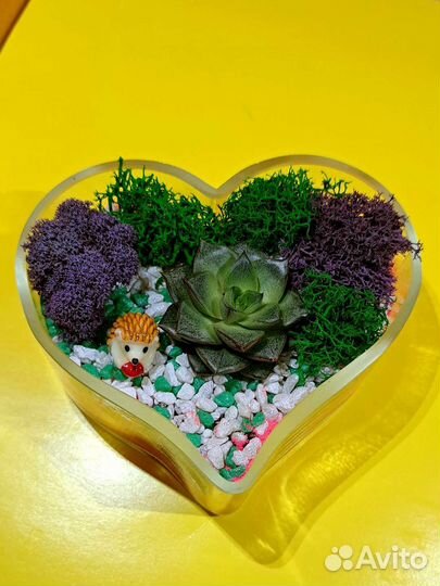 Флорариум- букет подарок