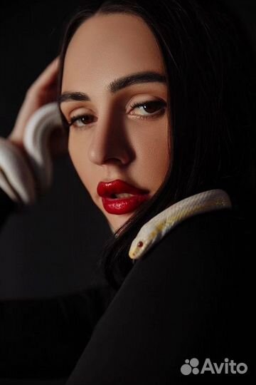 Рептилии (удавы питоны полозы змеи) для фотосессии