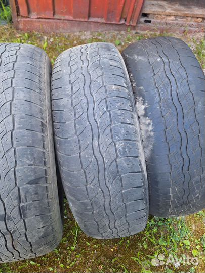 Бриджстун дилиер