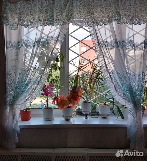 Шторы для кухни