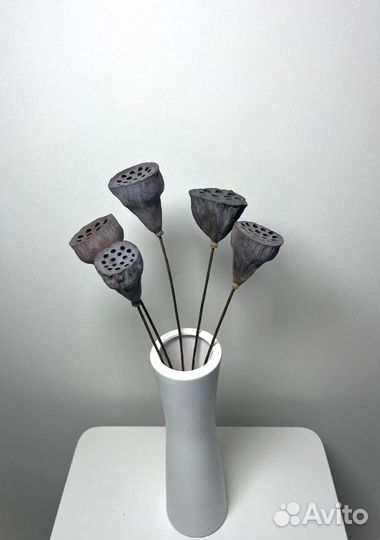 Лотос сухоцвет на ножке. Разные размеры