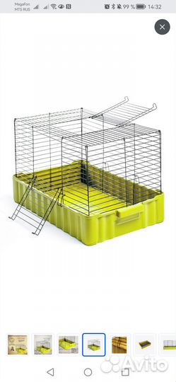 Продаю двух морских свинок с клеткой