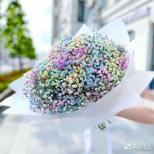 Гипсофила радужная