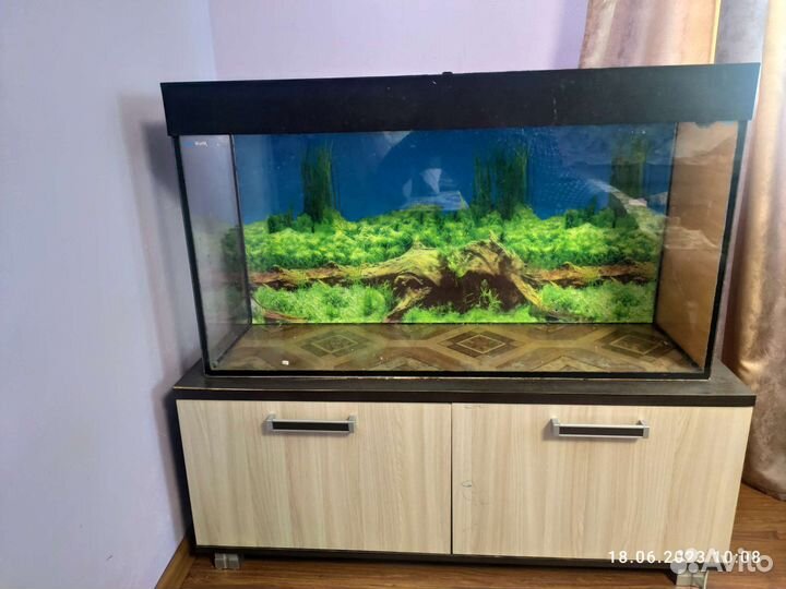Аквариум