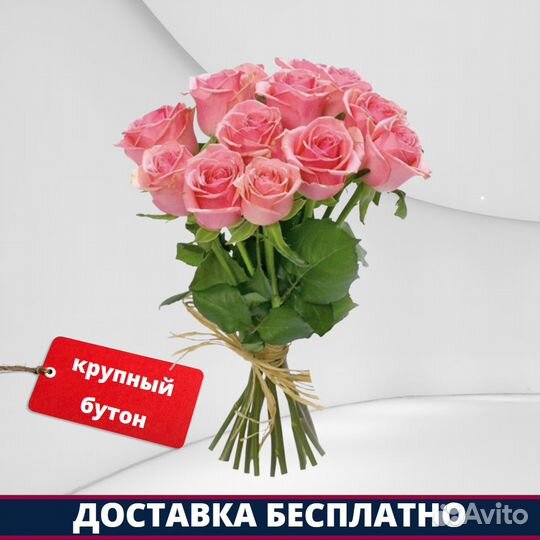 Розы Эквадор - 13 шт. 70 см