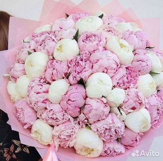 Пионы Цветы Доставка