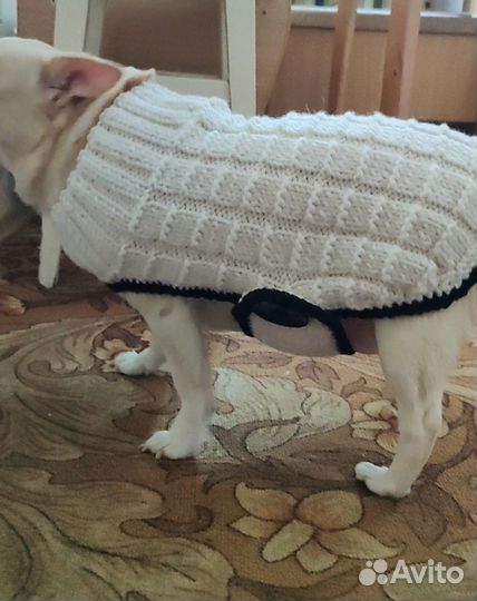 Попона для собак