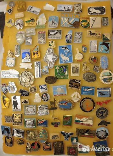 Знаки и значки СССР животные, зоопарк, заповедник