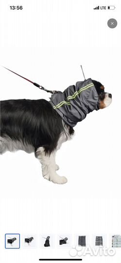 Шапка снуд для собаки