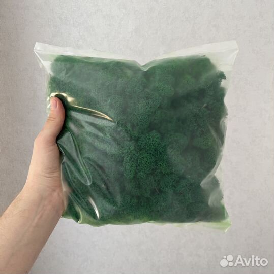 Стабилизированный мох,1 кг
