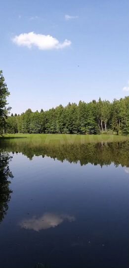 Участок 3 га (СНТ, ДНП)