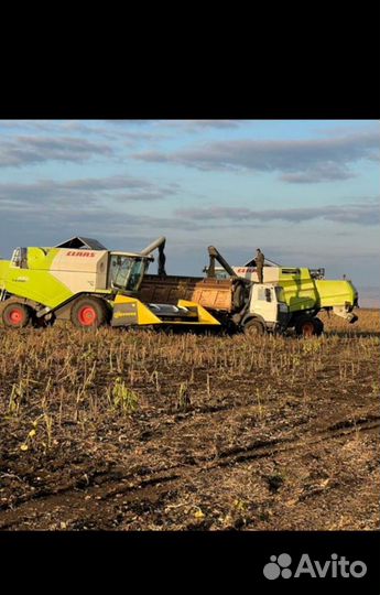 Уборка урожая комбайнами claas убираем