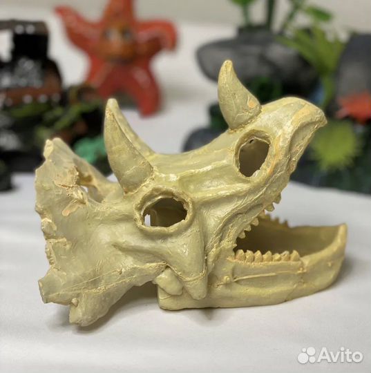 Череп / декорация для аквариума / грот