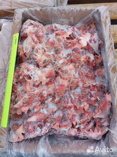 Мясо для собак