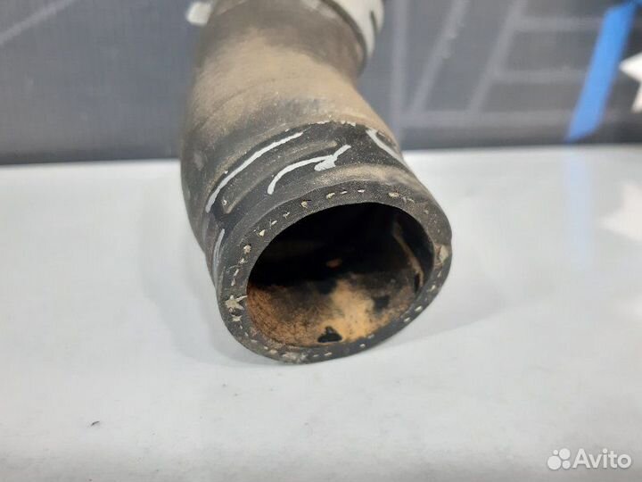 Шланг радиатора Volkswagen Passat Variant B5 AMX