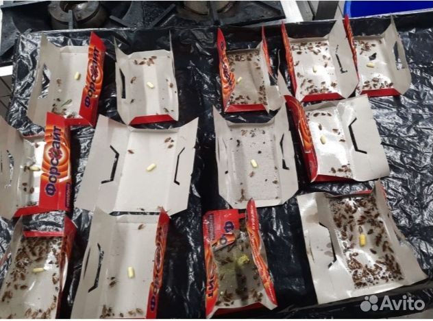 Дезинсекция от тараканов и клопов с гарантией