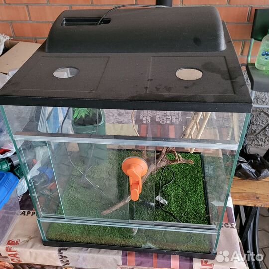 Террариум для хамелеона