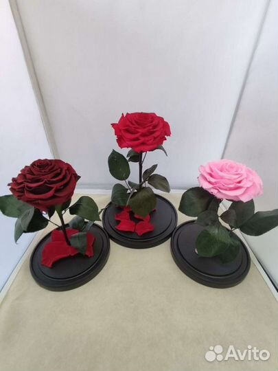 Роза в колбе опт и розница