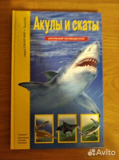 Детская энциклопедии про акул и космос