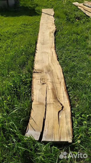 Доска дуб