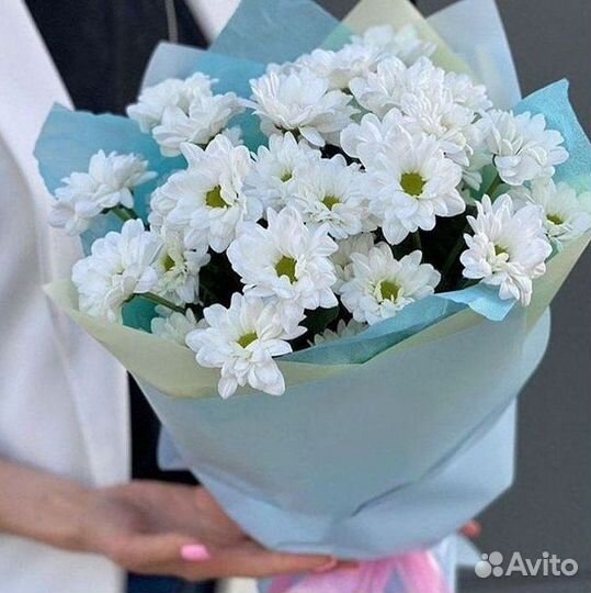 Доставка букетов и цветов. Хризантема