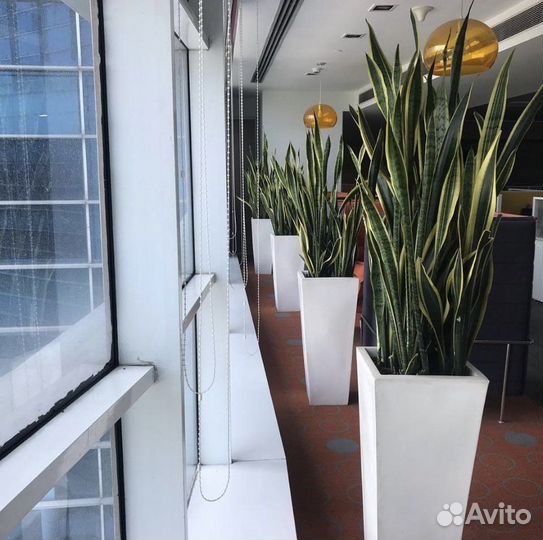 Уличные вазоны